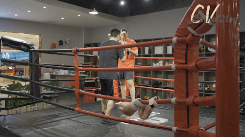 拳击|外国人眼中的小康｜欧洲“拳王”见证中国健康新风尚