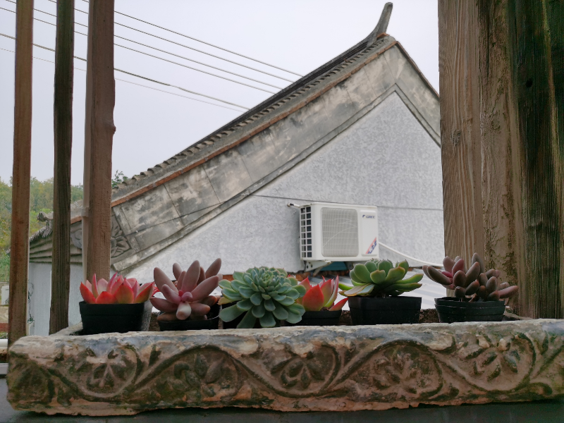 旅游产业|京郊民宿急功近利虚火旺:价格虚高,农家乐跟风进场