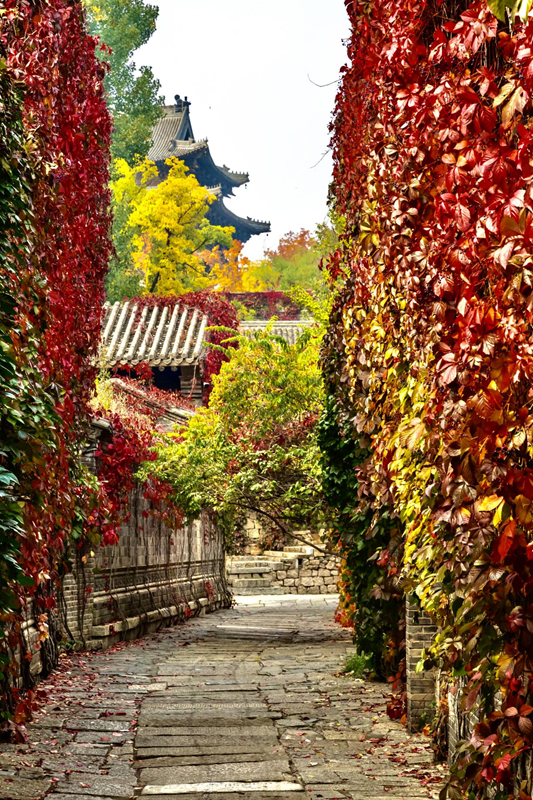 香山|美丽北京·秋|10条最值得打卡的北京赏红叶线路！