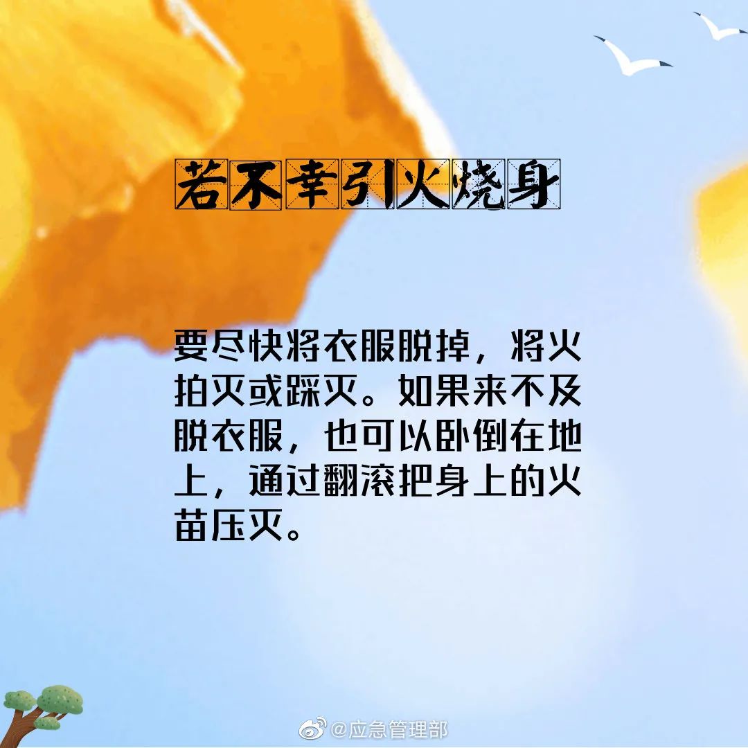 森林火灾|应急科普丨这些森林火灾逃生自救知识请掌握