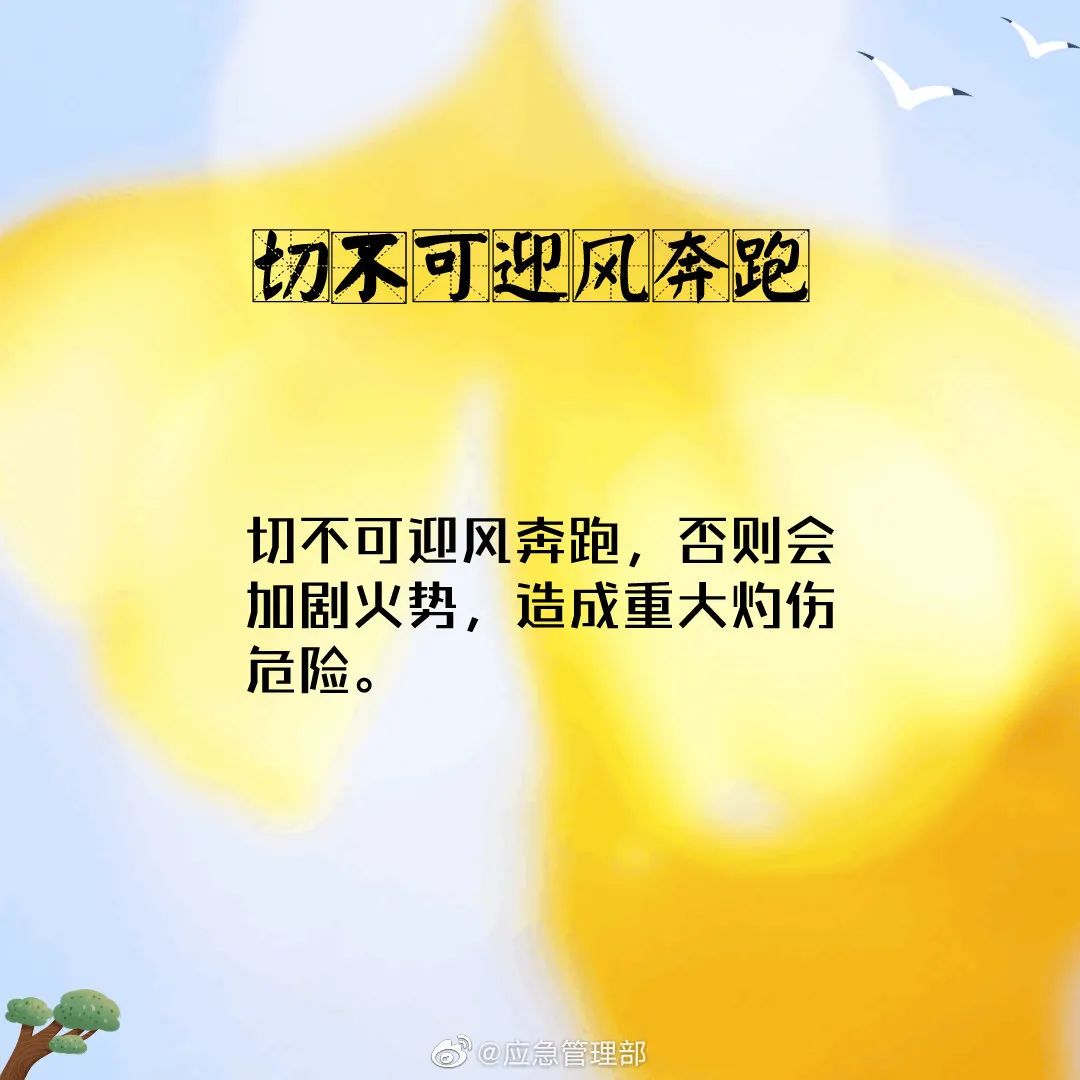 森林火灾|应急科普丨这些森林火灾逃生自救知识请掌握