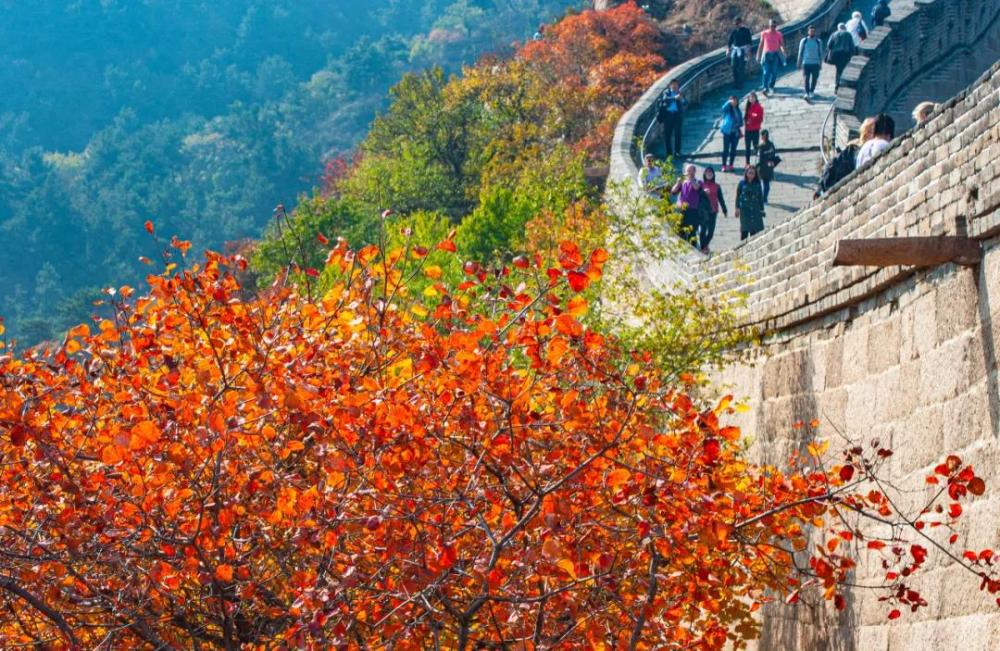 八达岭长城|拒绝不文明旅游！一游客在八达岭长城城砖刻字被罚