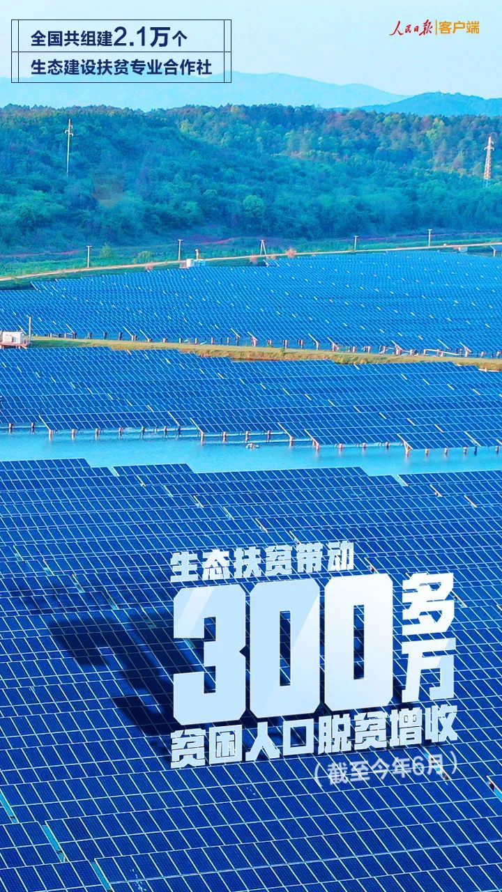 |这张扶贫成绩单,很中国!