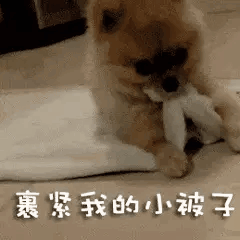 冷空气|北方“定制款”较强冷空气来袭 大风、降温、雨雪、沙尘天气齐发