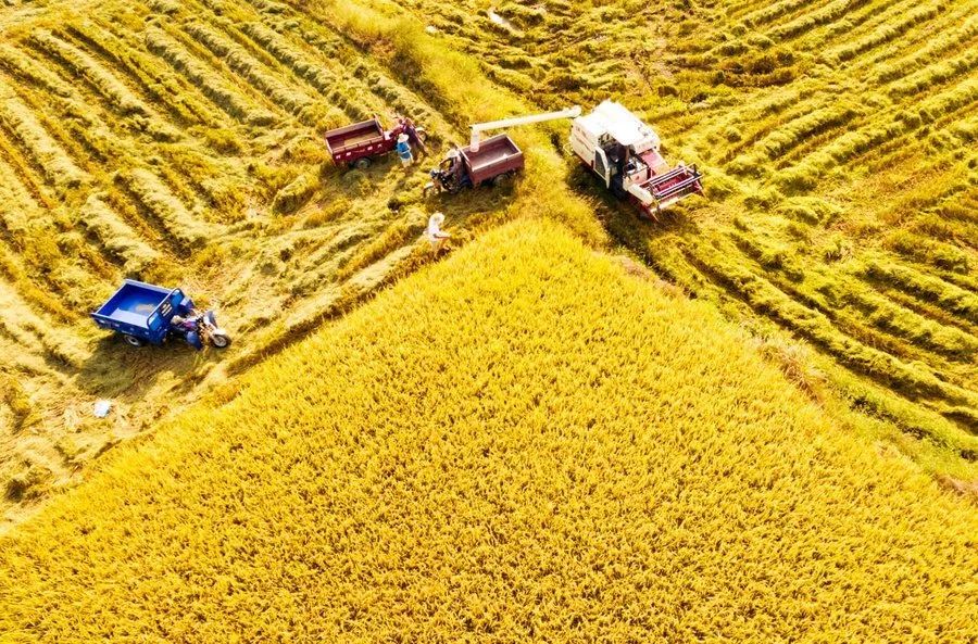 冷空气|北方“定制款”较强冷空气来袭 大风、降温、雨雪、沙尘天气齐发
