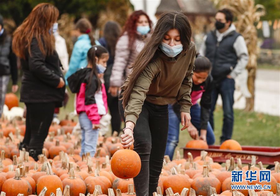 南瓜|美国伊利诺伊州举办小镇南瓜节