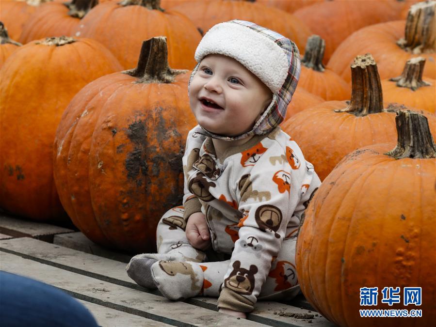 南瓜|美国伊利诺伊州举办小镇南瓜节