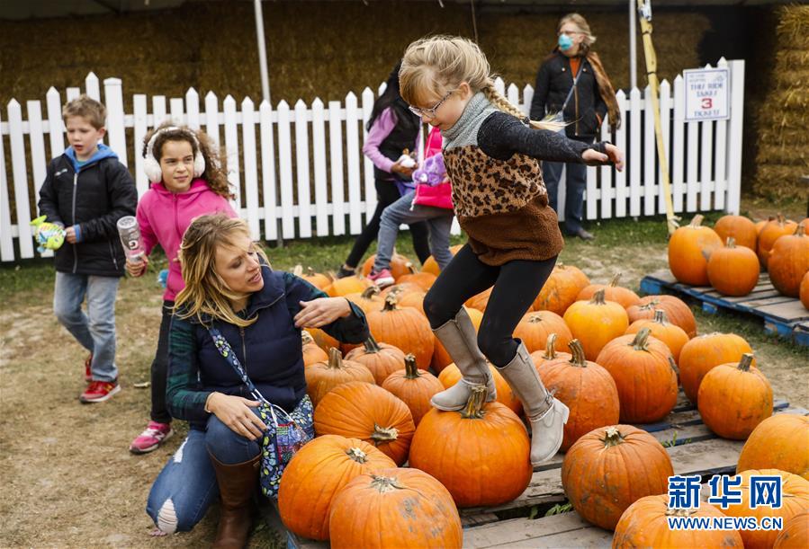 南瓜|美国伊利诺伊州举办小镇南瓜节