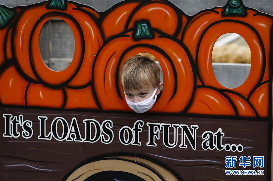 南瓜|美国伊利诺伊州举办小镇南瓜节