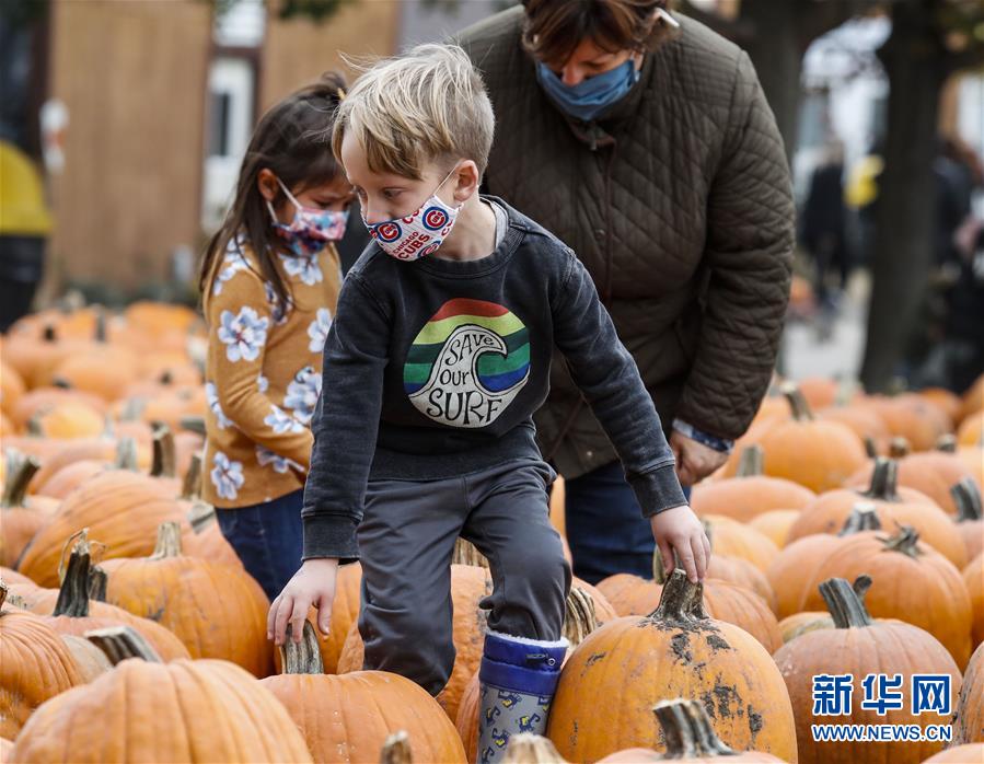 南瓜|美国伊利诺伊州举办小镇南瓜节