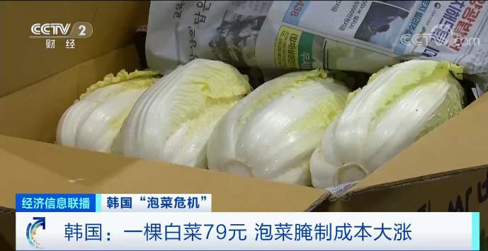 推荐|白菜变“金菜”！韩国大妈吐槽白菜比中国贵10倍，连呼“想住在中国”