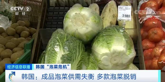 推荐|白菜变“金菜”！韩国大妈吐槽白菜比中国贵10倍，连呼“想住在中国”