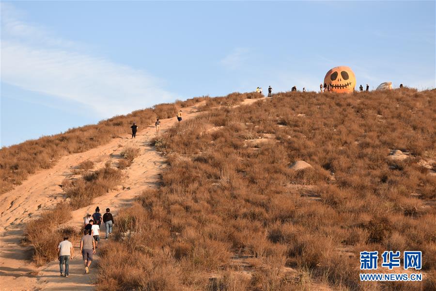 南瓜|“南瓜石”走红美国加州