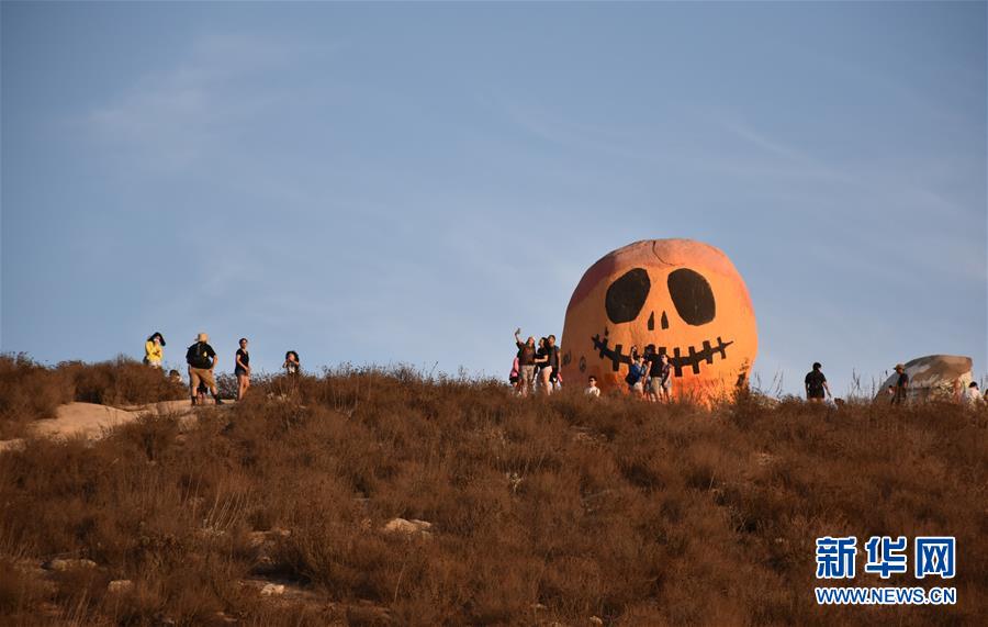南瓜|“南瓜石”走红美国加州