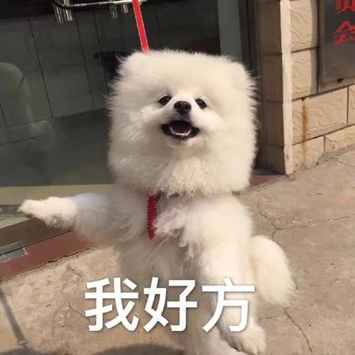 平安|他来了他来了，带着你的“逾期记录”走来了！