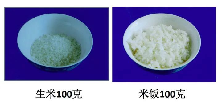生煎锅贴|食堂的“一两”包子、“二两”饭，你吃饱了吗？