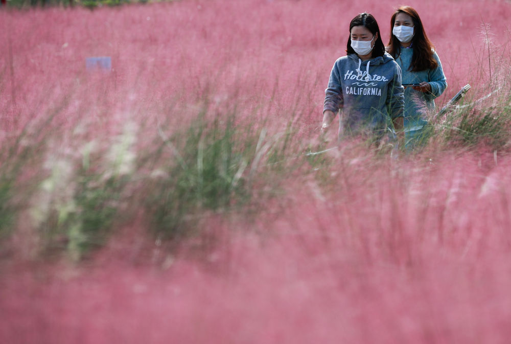 流感疫苗|9人接种流感疫苗后死亡　韩国暂不叫停接种
