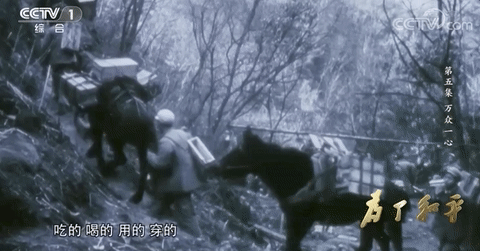 军事历史|那一年，他们正年轻……