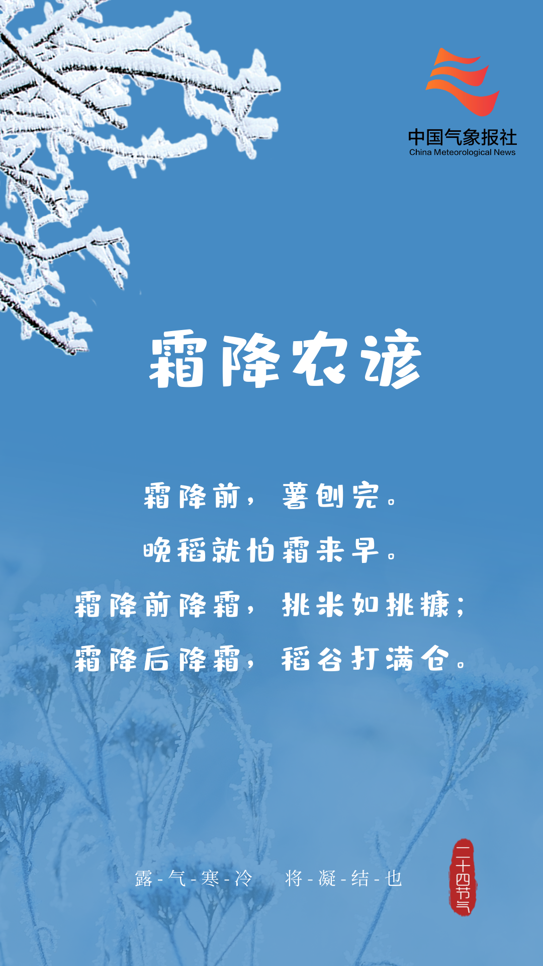 中国气象局|今日霜降丨露凝为霜 秋天最后一个节气来了