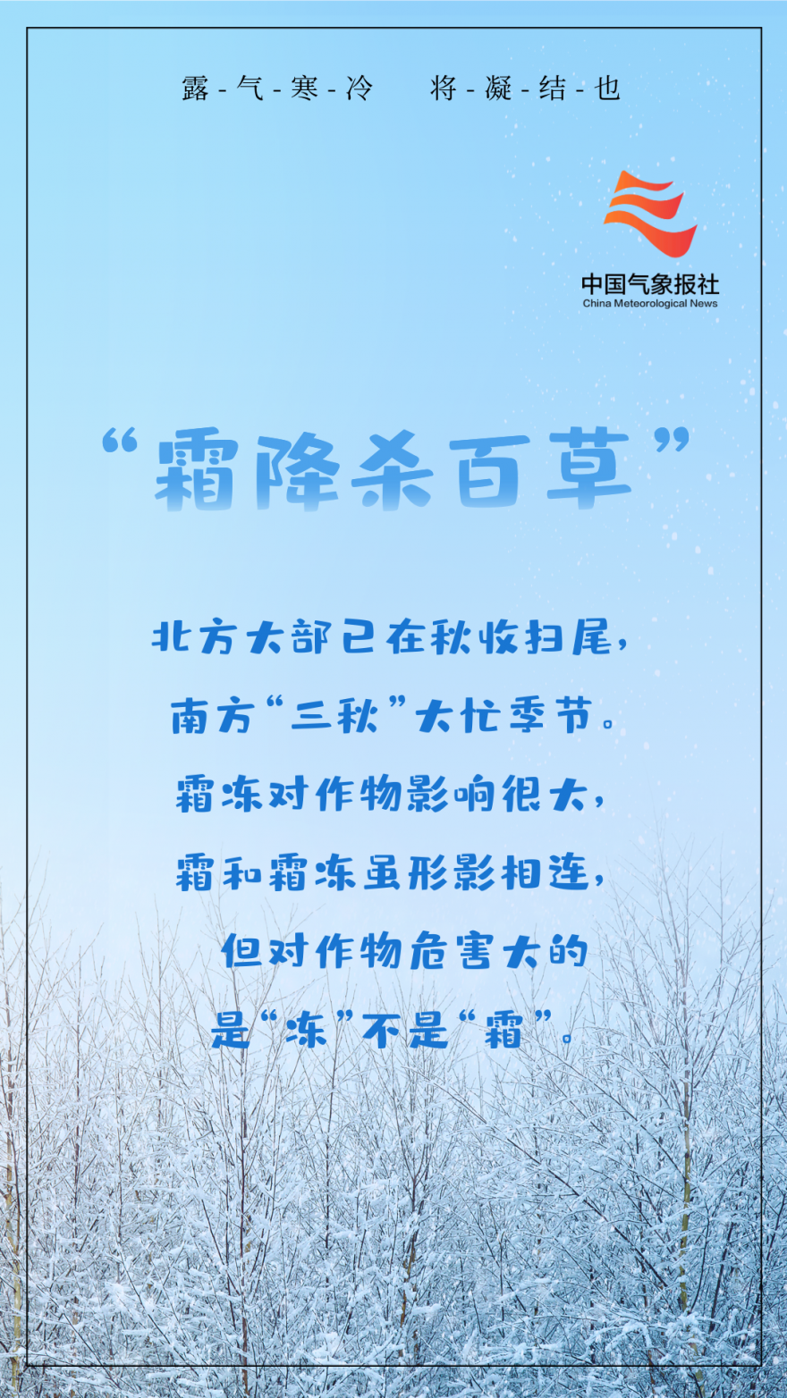 中国气象局|今日霜降丨露凝为霜 秋天最后一个节气来了