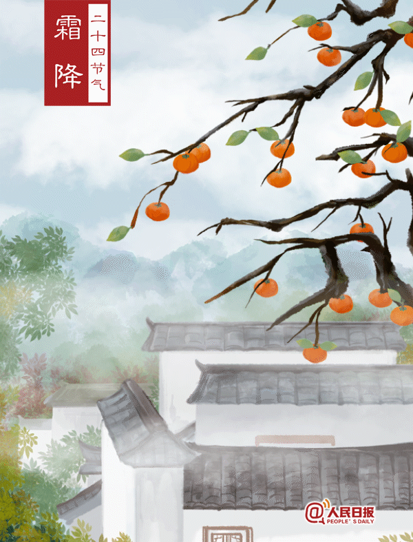 霜降|今日霜降