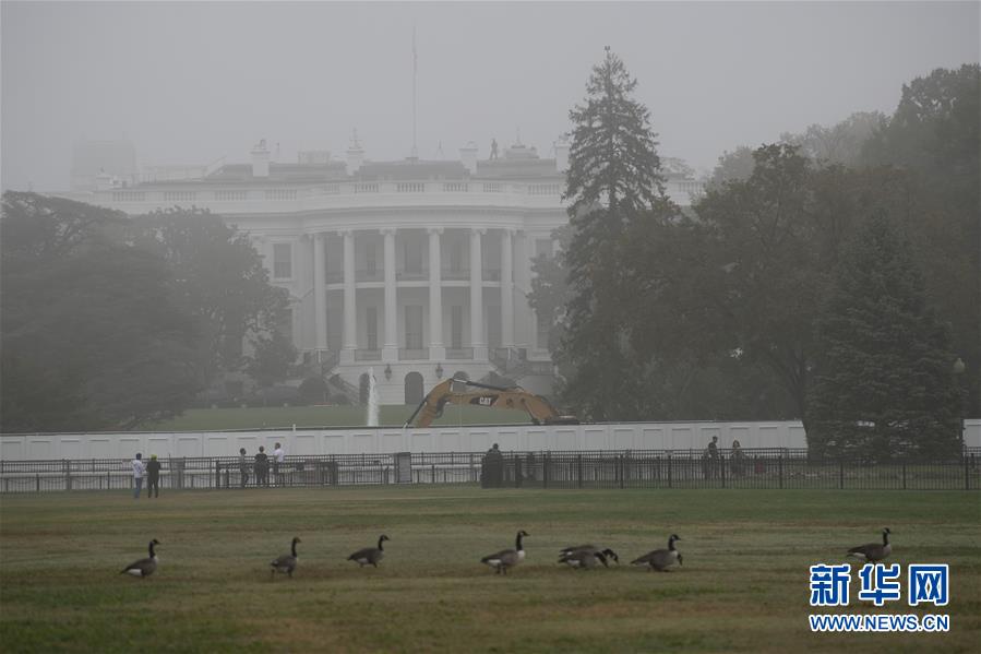华盛顿|雾锁华盛顿