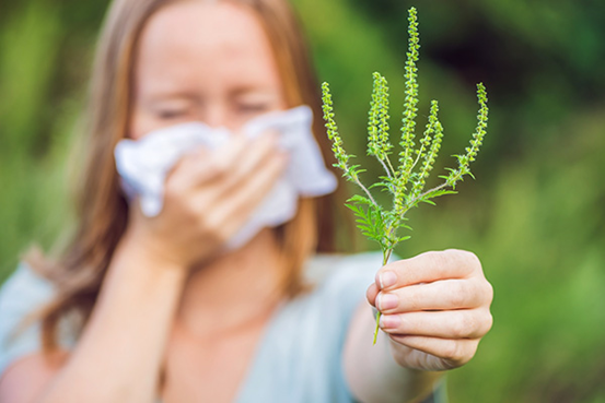 小龙虾|中国如何治服“入侵者”？