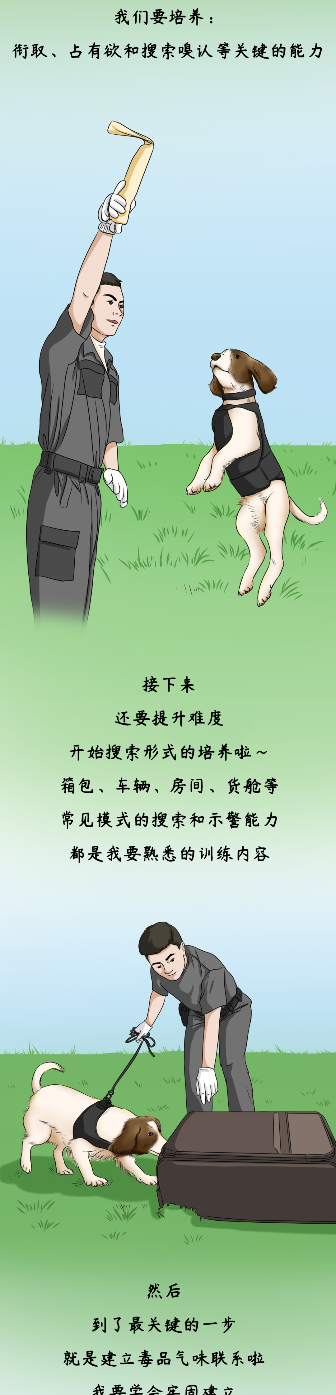 平安|我是一只退役的缉毒犬