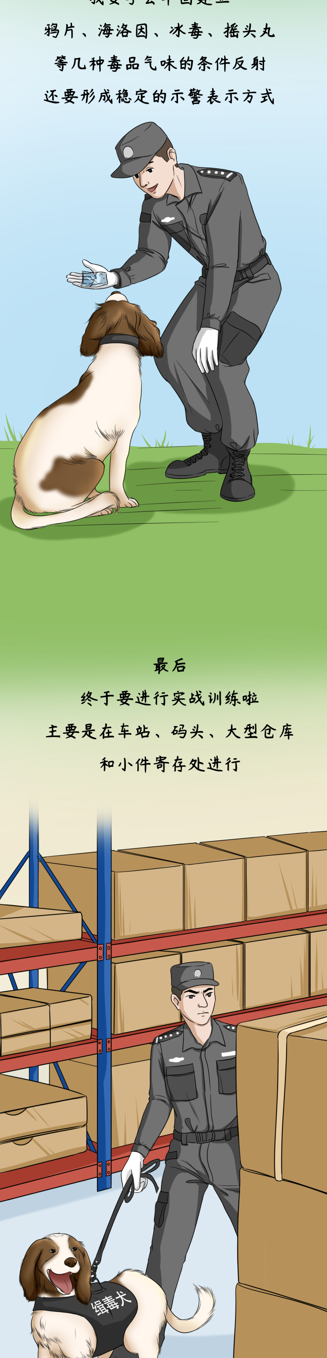 平安|我是一只退役的缉毒犬