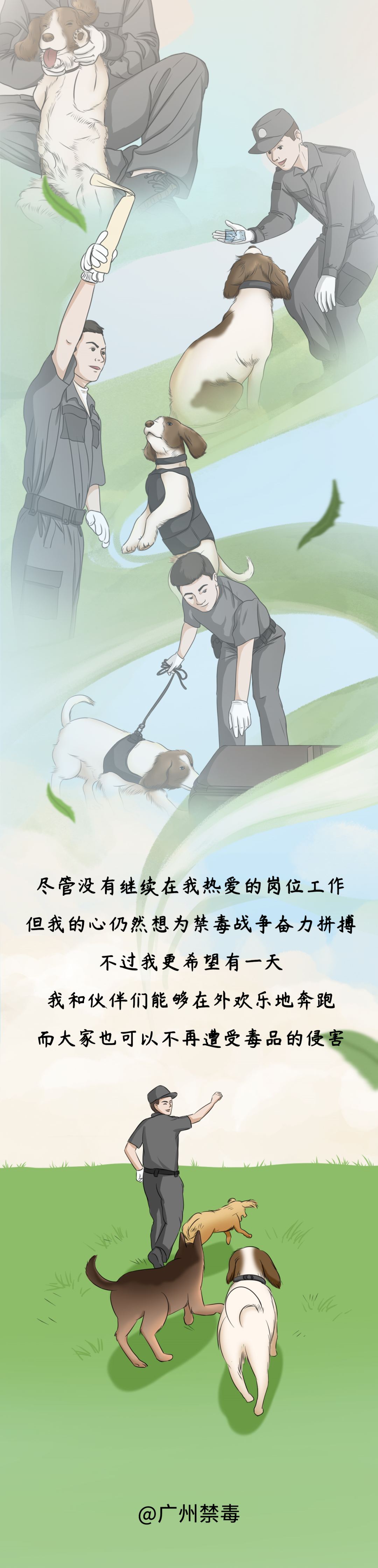 平安|我是一只退役的缉毒犬