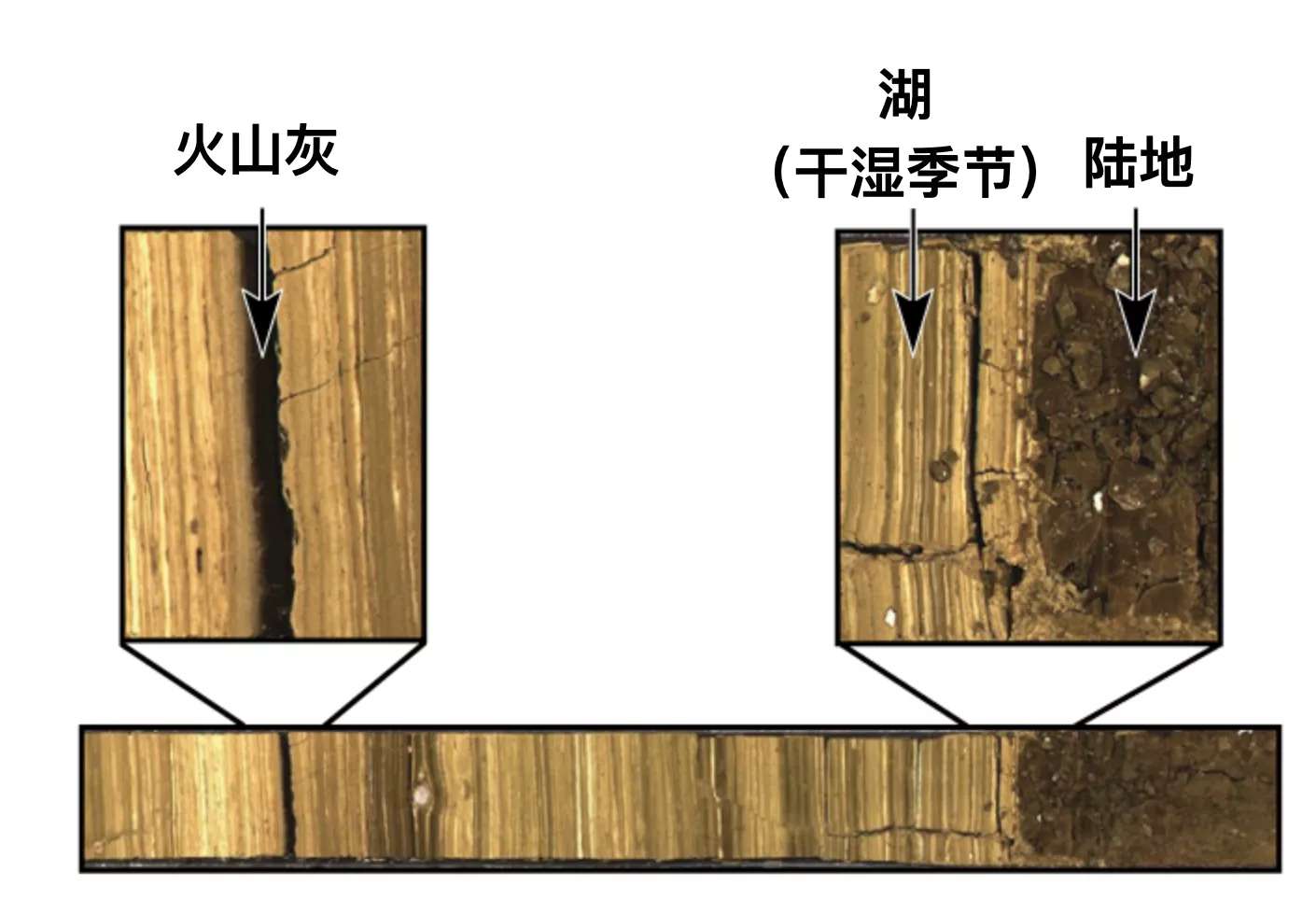 文汇报|18万年的时间缺口，隐藏了怎样的秘密？