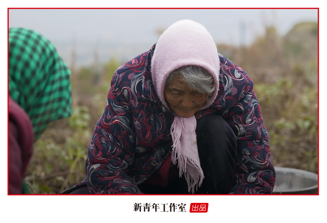 |当你老了，我会_____