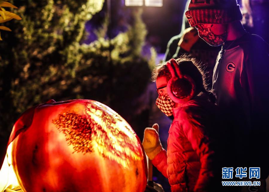 南瓜|美国芝加哥植物园举办南瓜灯展