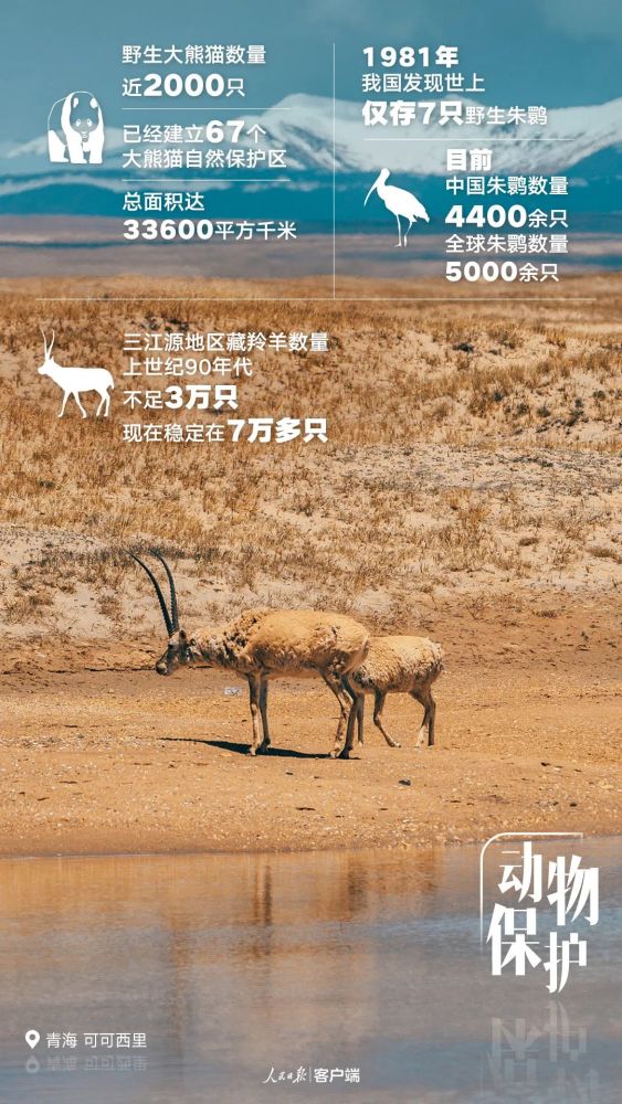 |这五年，中国更美丽