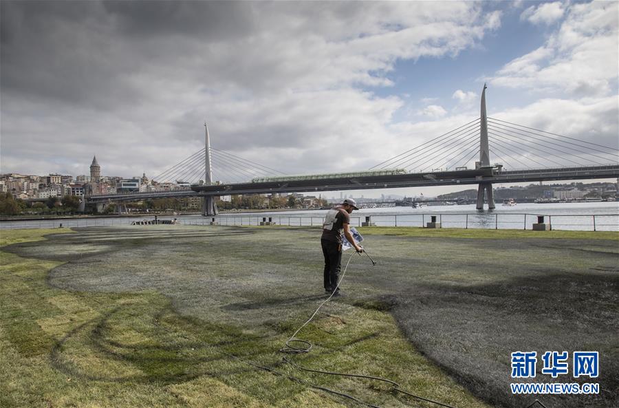 伊斯坦布尔|法艺术家在伊斯坦布尔绘制巨幅露天画作