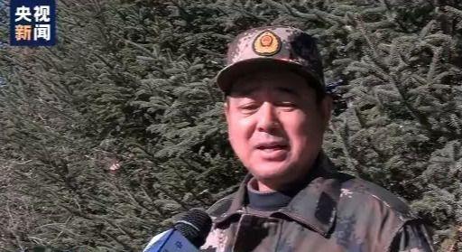 东北虎|小兴安岭首次找到东北虎吃熊的珍贵影像证据