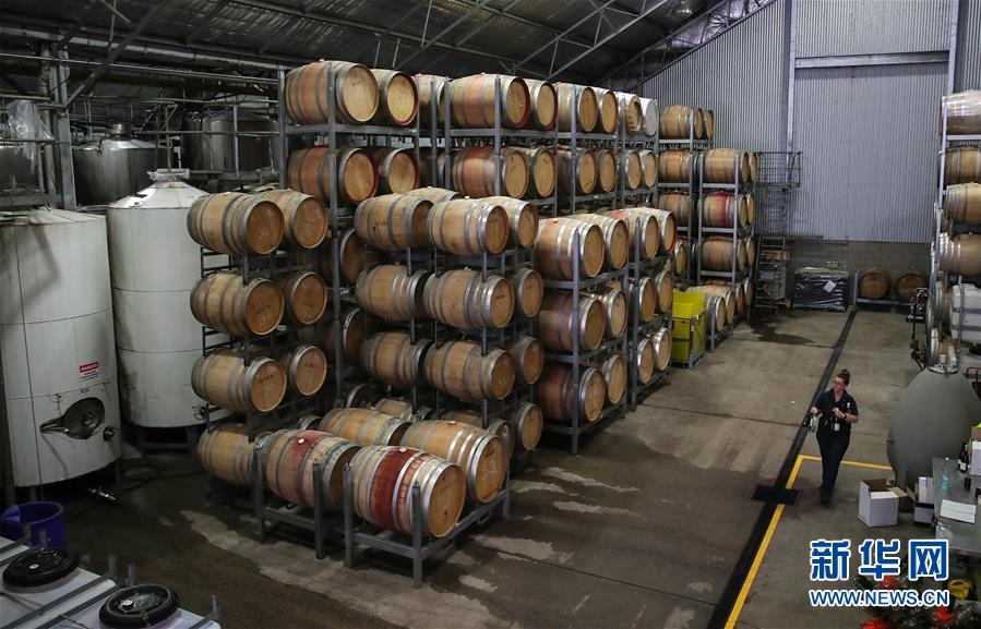 红酒|澳洲小酒企期待中国大市场