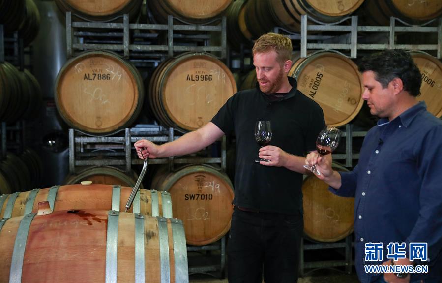 红酒|澳洲小酒企期待中国大市场