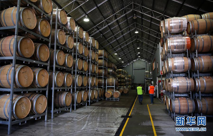 红酒|澳洲小酒企期待中国大市场