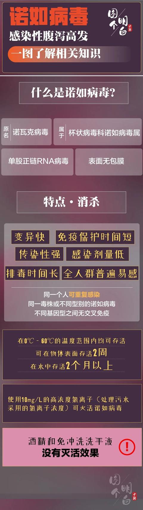 奇闻轶事|频上热搜的诺如病毒是啥？可怕不？咋防咋治？