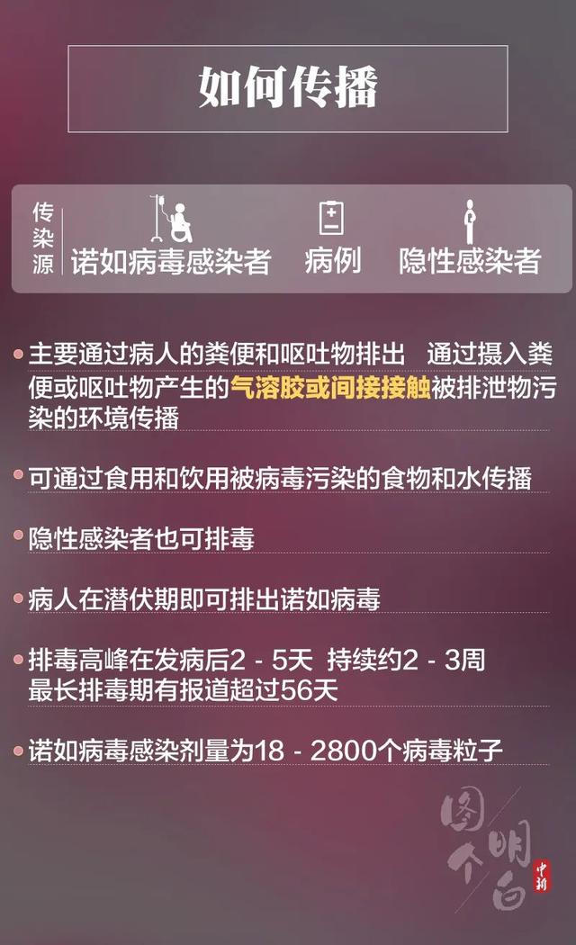 奇闻轶事|频上热搜的诺如病毒是啥？可怕不？咋防咋治？