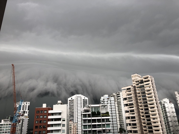 降雨量|暴雨袭击新加坡多地 降雨量超过同期平均值