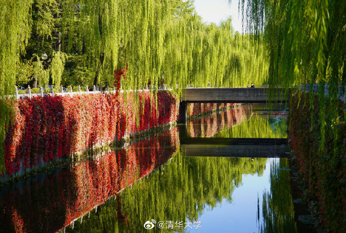 |高校秋景大赛 是否勾起你的校园回忆