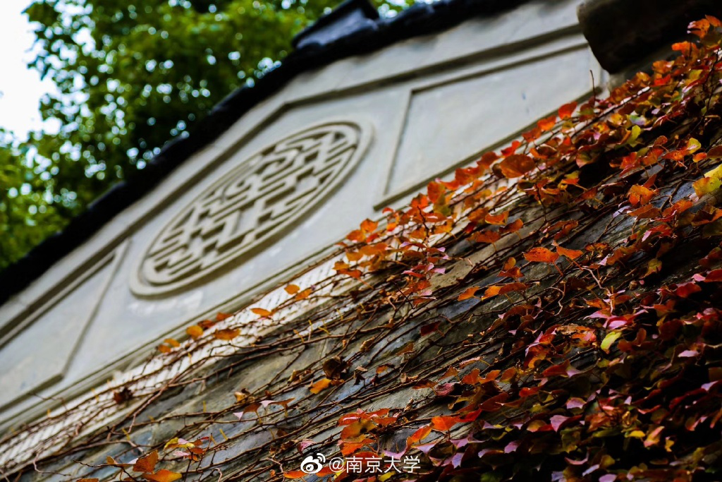 |高校秋景大赛 是否勾起你的校园回忆