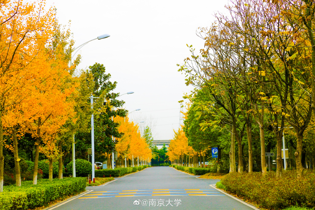 |高校秋景大赛 是否勾起你的校园回忆