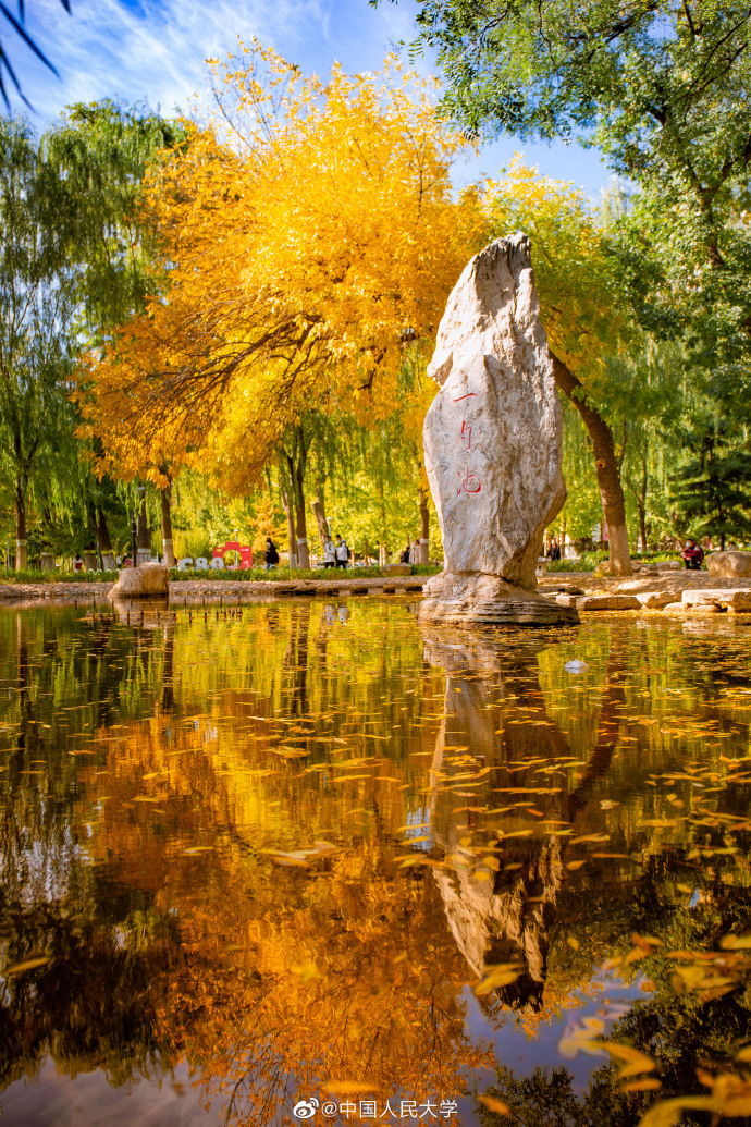 |高校秋景大赛 是否勾起你的校园回忆