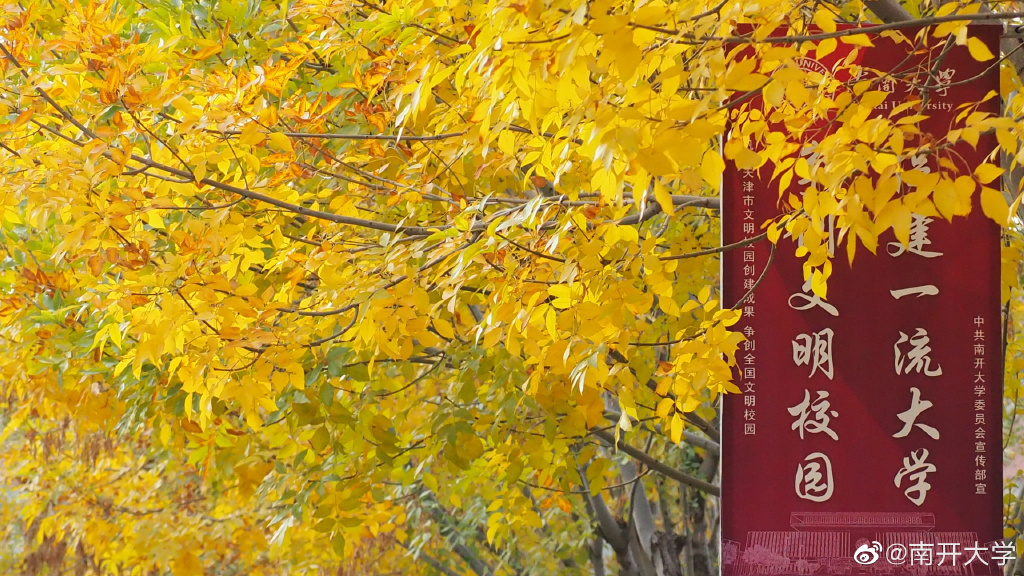 |高校秋景大赛 是否勾起你的校园回忆