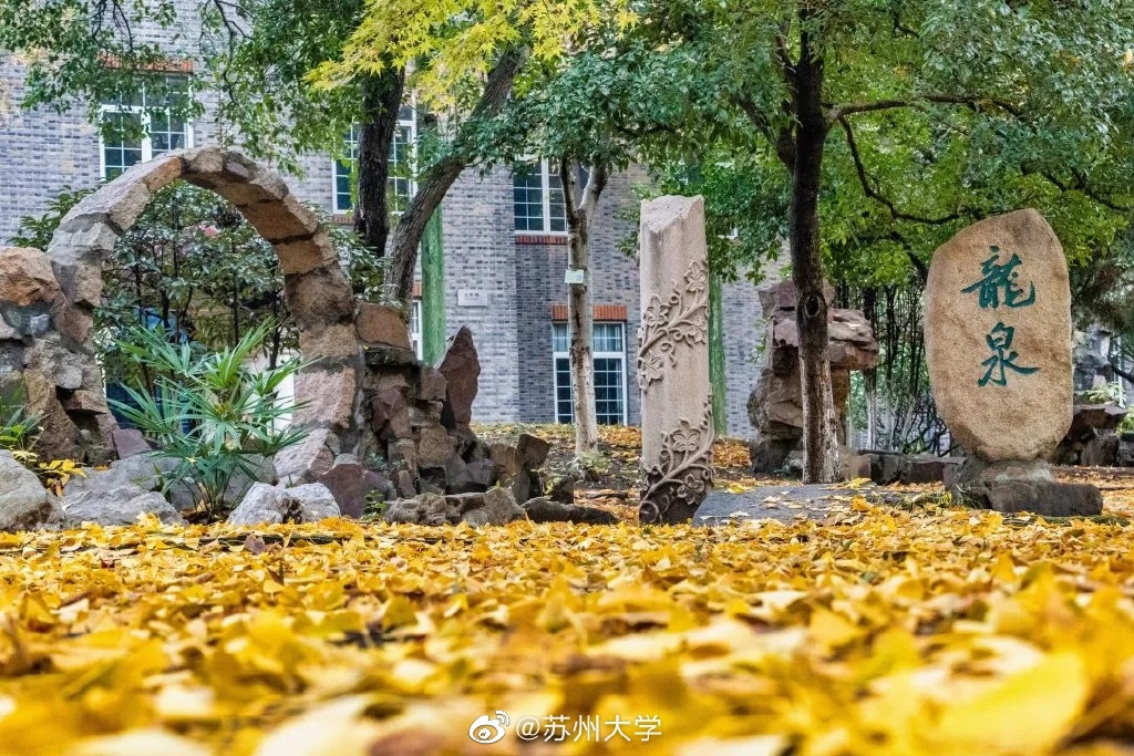 |高校秋景大赛 是否勾起你的校园回忆