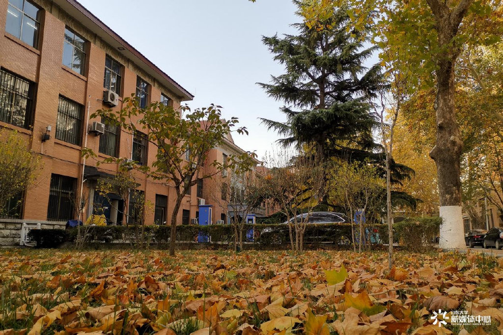 |高校秋景大赛 是否勾起你的校园回忆