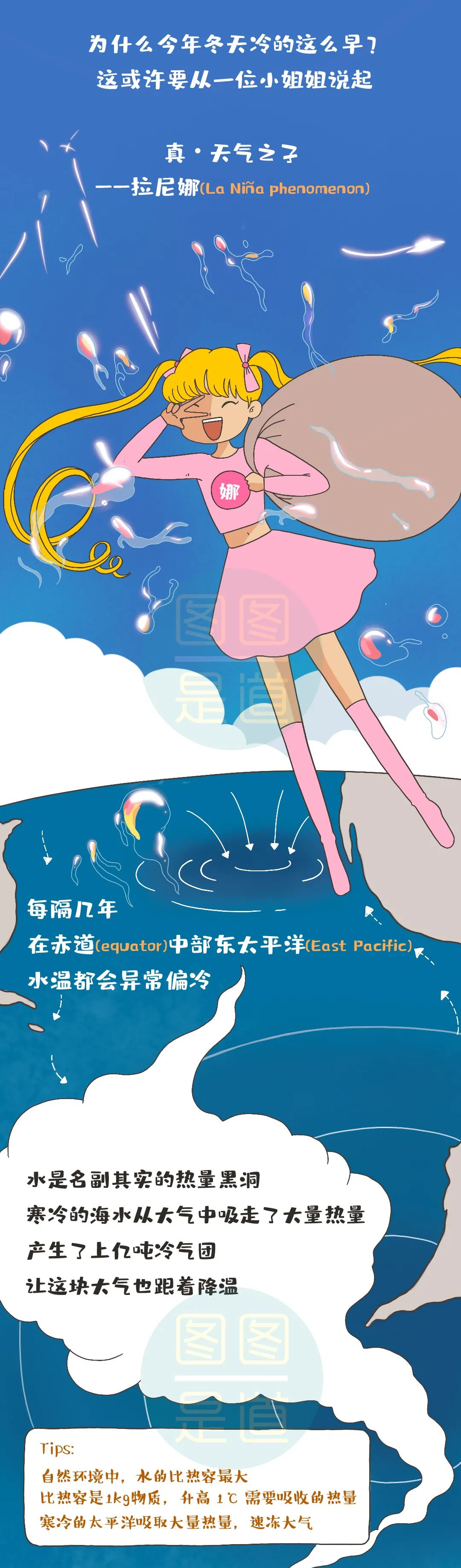 |今年冬天冷得这么早，还不是因为这位高冷小姐姐